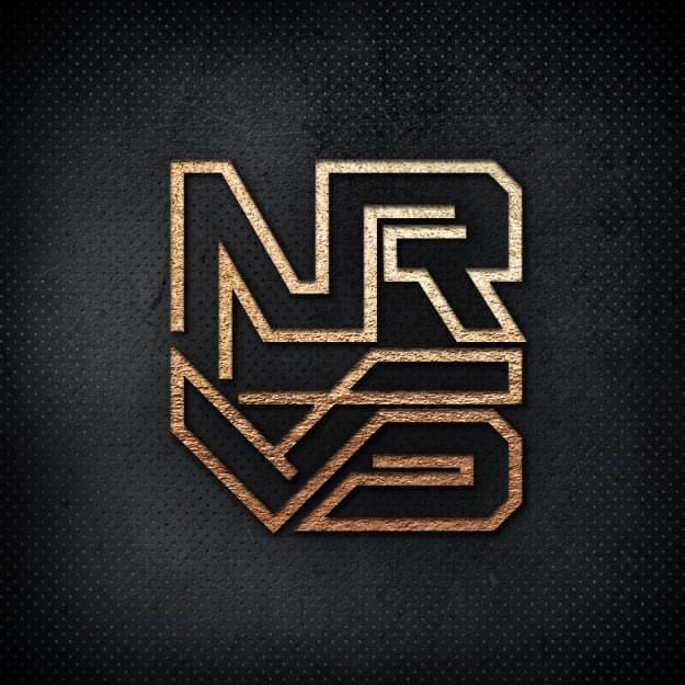 NRVS Beniamin Wasilewski-logo